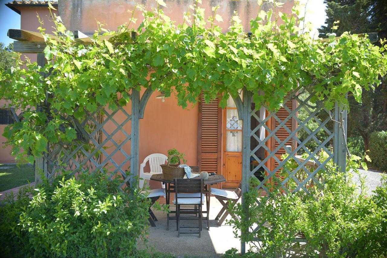 Agriturismo Le Cerbonche Rosignano Marittimo Exterior photo